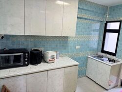 Blk 219D Linear Green @ Bedok (Bedok), HDB 4 Rooms #569257971